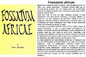 078 ARCHEOLOGIE AERIENNE_000007